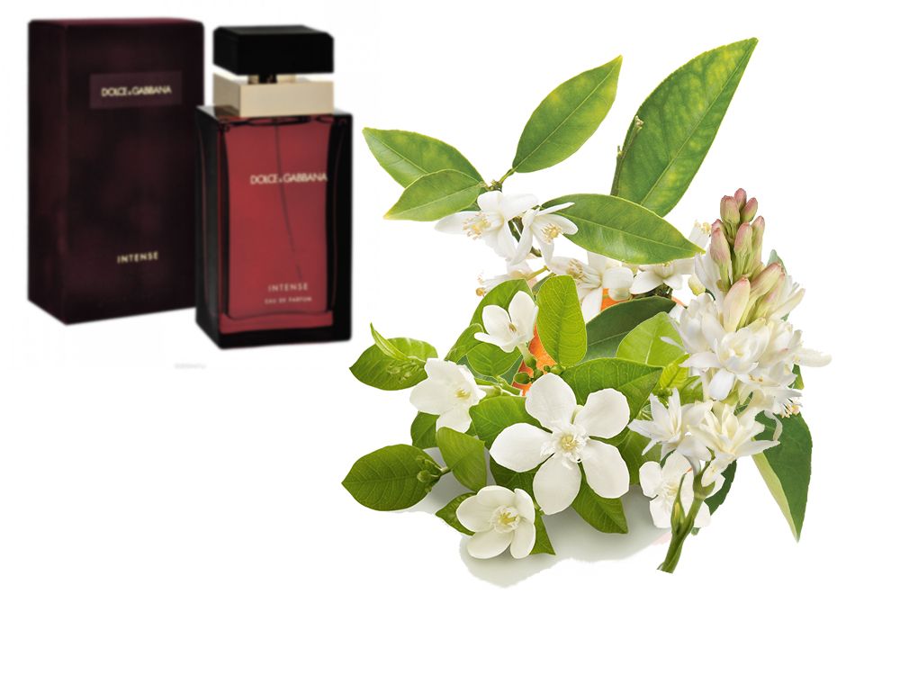 Dolce & Gabbana Pour Femme Intense, Edp, 100 ml — изображение 2